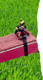 Paws Made™ Candy Catch Diver – Great Contact Trainer - Image 2