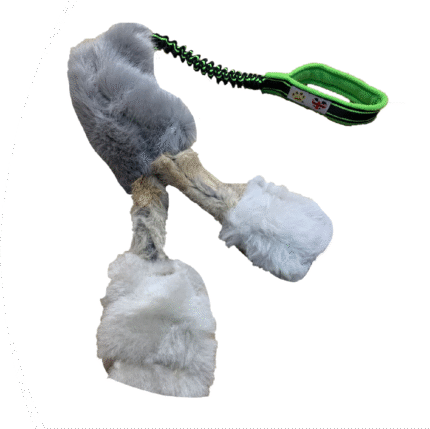 Paws Made™ The BAMBINO Waggle! – Sport bungee, Squeaker, Sheep, Rabbit & Faux